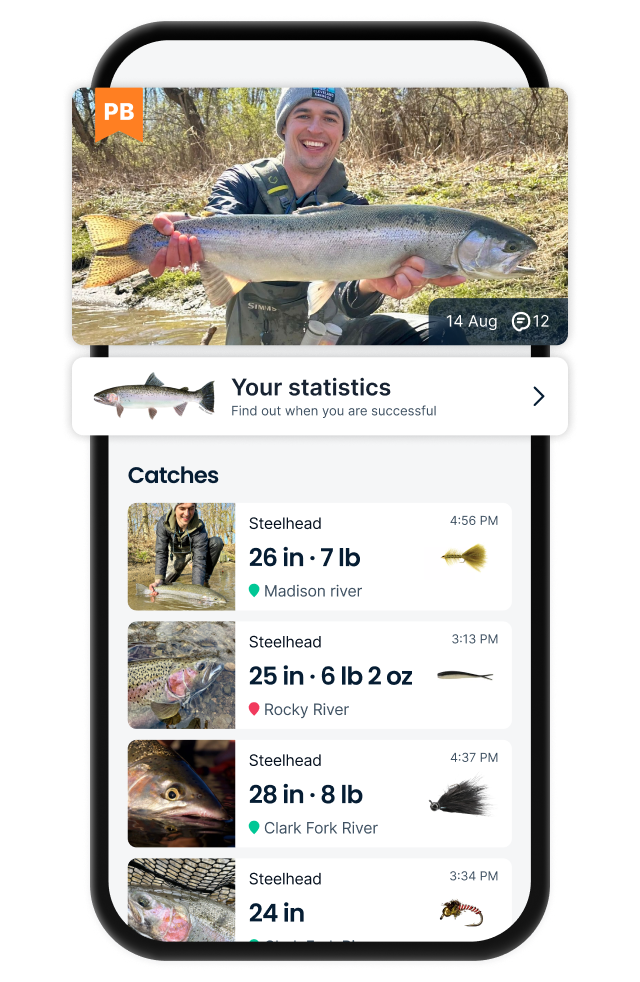 Social Feed